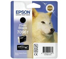 Картридж Epson StPhoto R2880 photo black (C13T09614010)